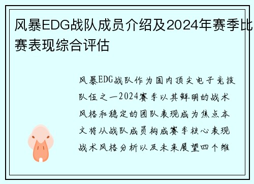 风暴EDG战队成员介绍及2024年赛季比赛表现综合评估